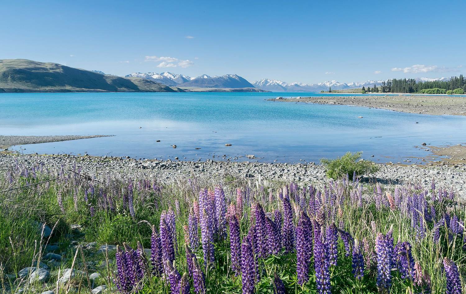 Lake Tekapo, Canterbury